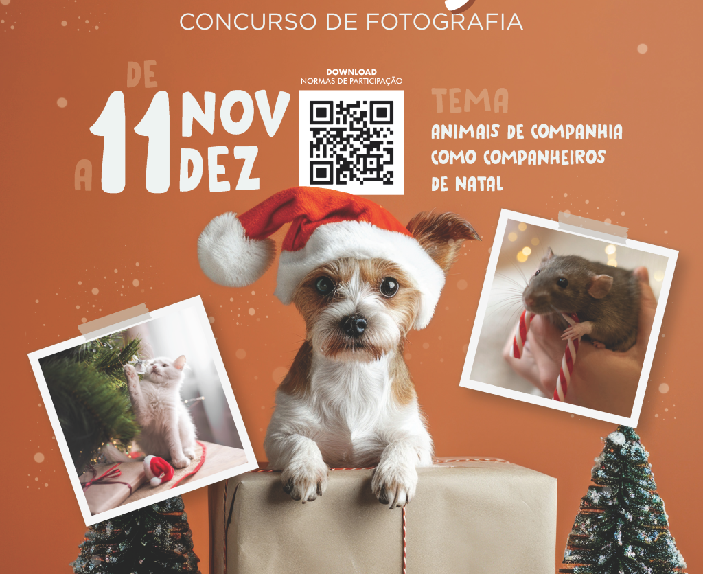 Concurso de Fotografia | Natal de Estimação